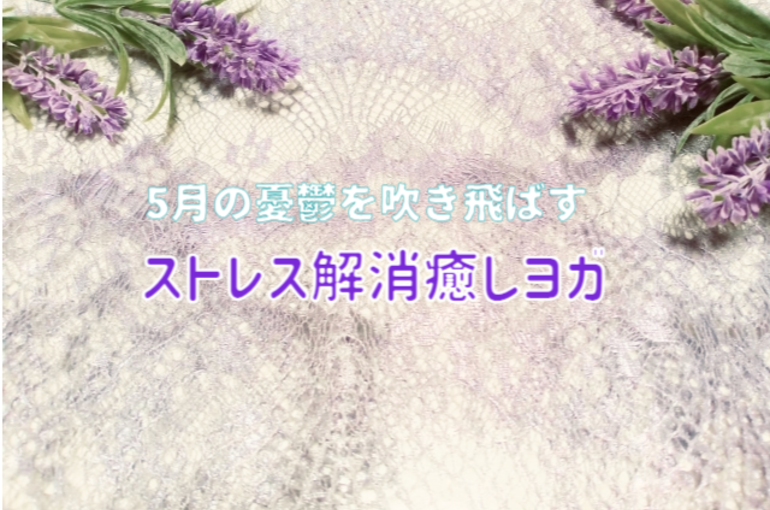 New file (3)